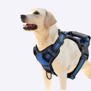 Harnais pour les toutous Accessoire chien Harnais chien couleur: Bleu|Noir|Orange|Rose|Rouge|Vert