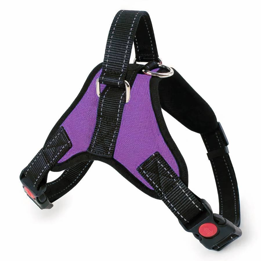 Harnais pour tous les types de chiens Accessoire chien Harnais chien Harnais chien anti traction Taille: XL Couleur: Violet