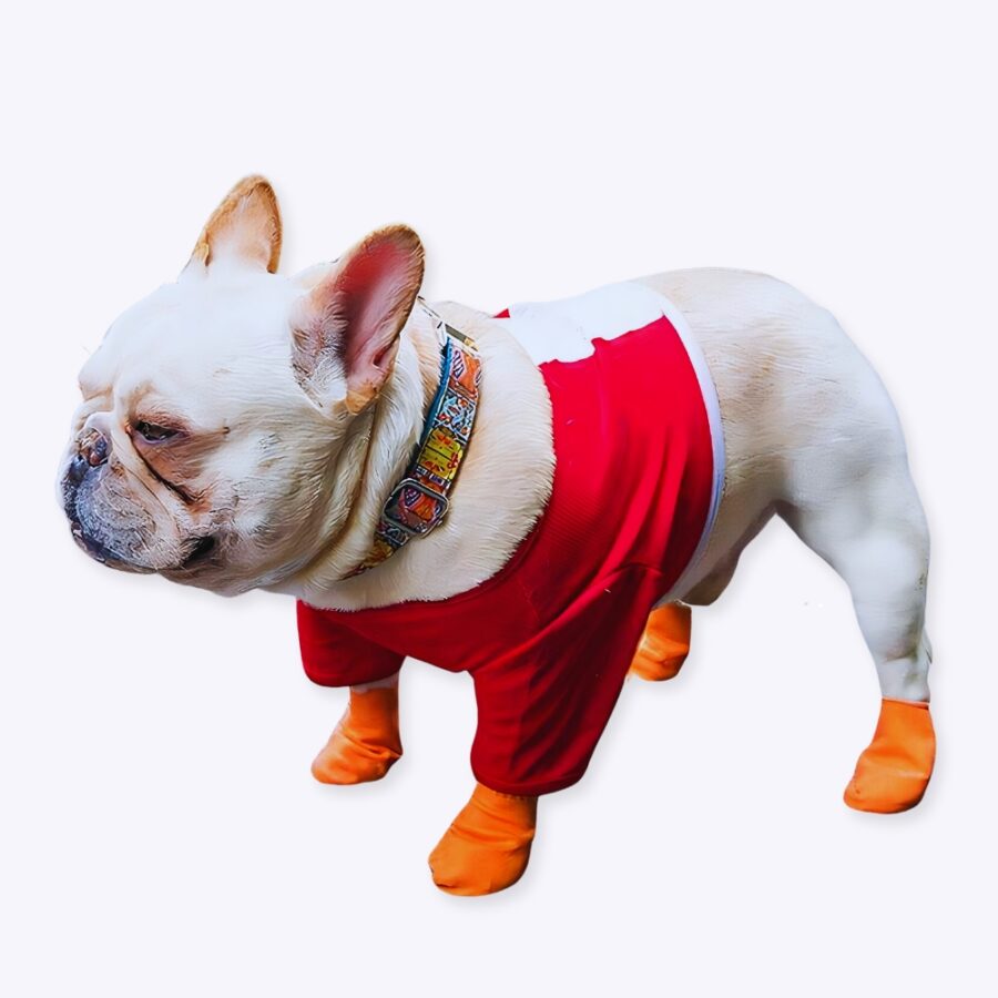 Un petit chien blanc avec des Chaussures imperméables en caoutchouc pour chien de couleur rose