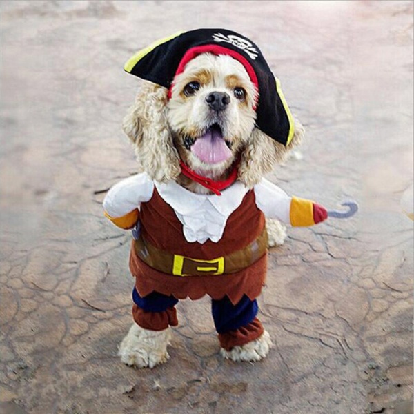 Costume de pirate pour chien Déguisement pour chien Vêtement chien a7796c561c033735a2eb6c: Marron