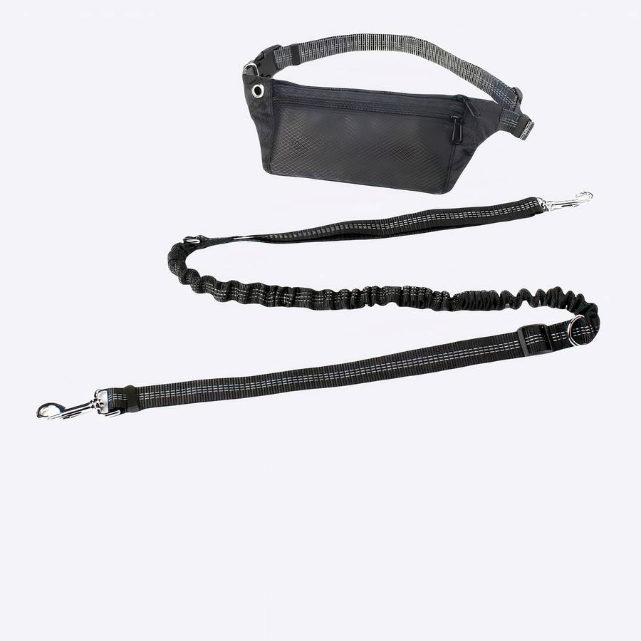 Sac banane avec une laisse pour chien Sac banane avec une laisse pour chien Accessoire chien Laisse chien a7796c561c033735a2eb6c: Bleu|Noir|Rose|Vert