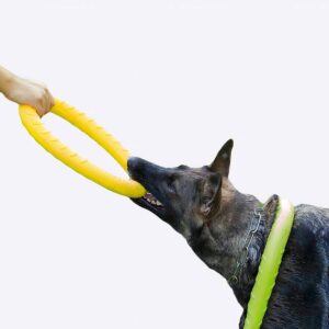 Anneau volant pour chien Accessoire chien Jouets pour chien couleur: Orange|Rouge|Vert