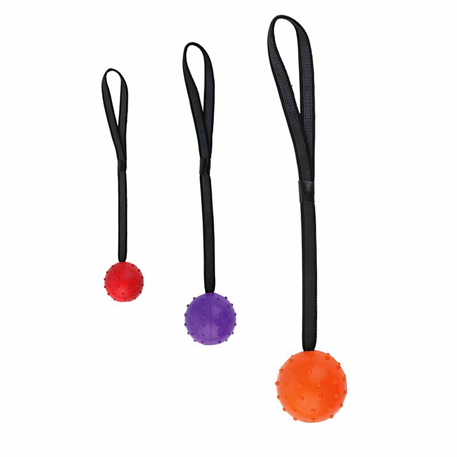 Balle en caoutchouc avec corde pour chien Balle en caoutchouc avec corde pour chien Accessoire chien Jouets pour chien couleur: Jaune|Orange|Rouge|Violet