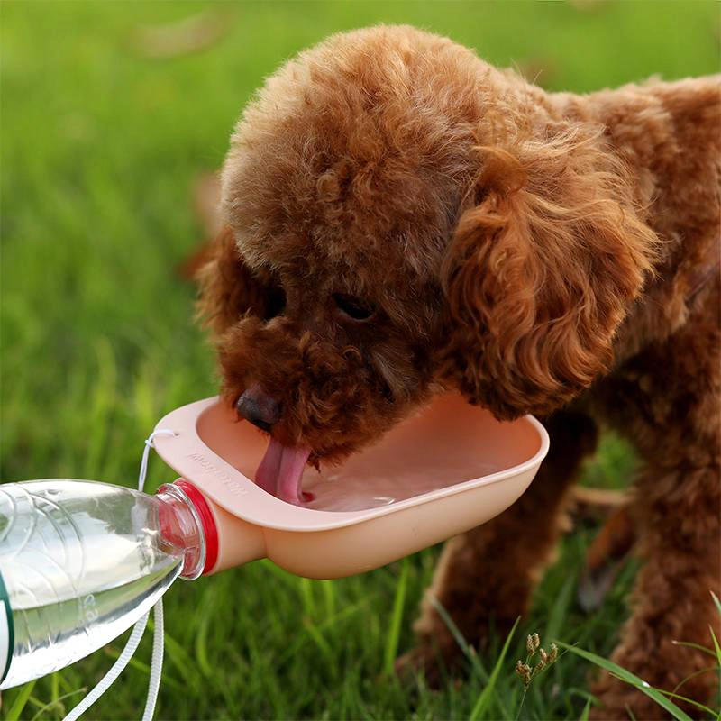 Bol d’eau portable pour chien Accessoire chien Gourde pour chien couleur: Bleu|Gris|Orange|Vert
