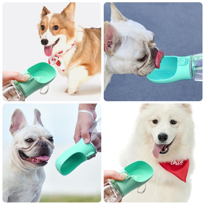 Bouteille d’eau Portable pour petits et grands chiens Accessoire chien Gourde pour chien a7796c561c033735a2eb6c: Blanc|Rose|Vert