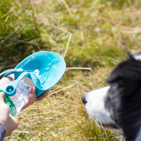 Bouteille d’eau en silicone souple pour chien Accessoire chien Gourde pour chien couleur: Bleu|Noir|Orange|Rose|Vert