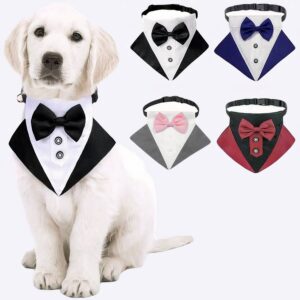 Collier avec un costume de mariage pour chien Accessoire chien Collier chien couleur: Bleu|Gris|Noir|Rouge