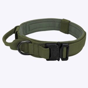 Collier tactique militaire pour chien Accessoire chien Collier chien couleur: Beige|Kaki|Noir|Vert