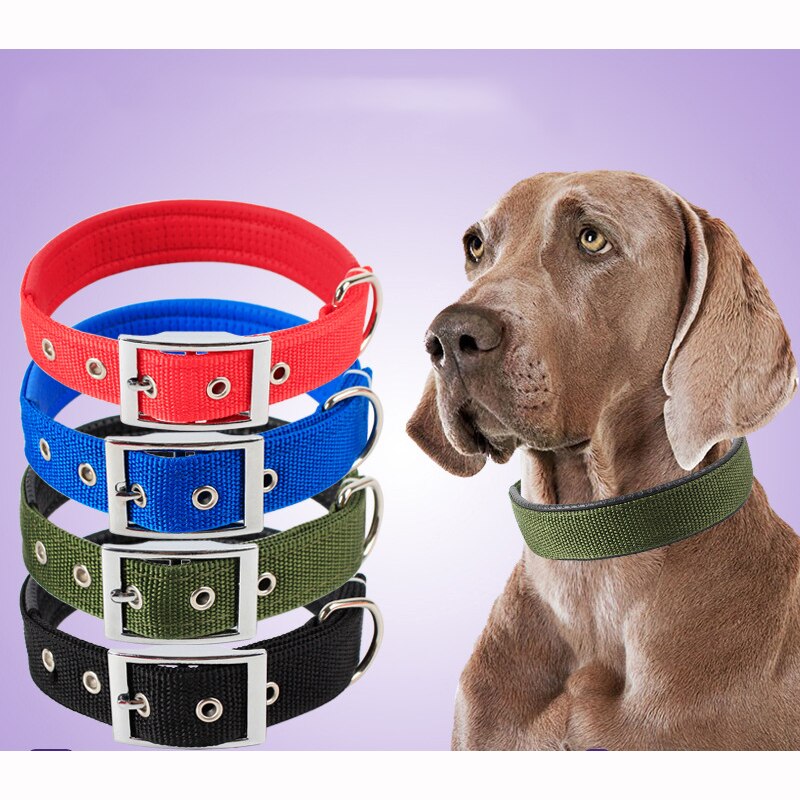 Colliers pour chien solides en nylon Accessoire chien Collier chien a7796c561c033735a2eb6c: Bleu|Noir|Rose|Vert