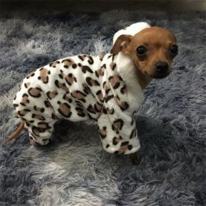 Combinaison léopard pour chien Manteau pour chien Vêtement chien couleur: Marron