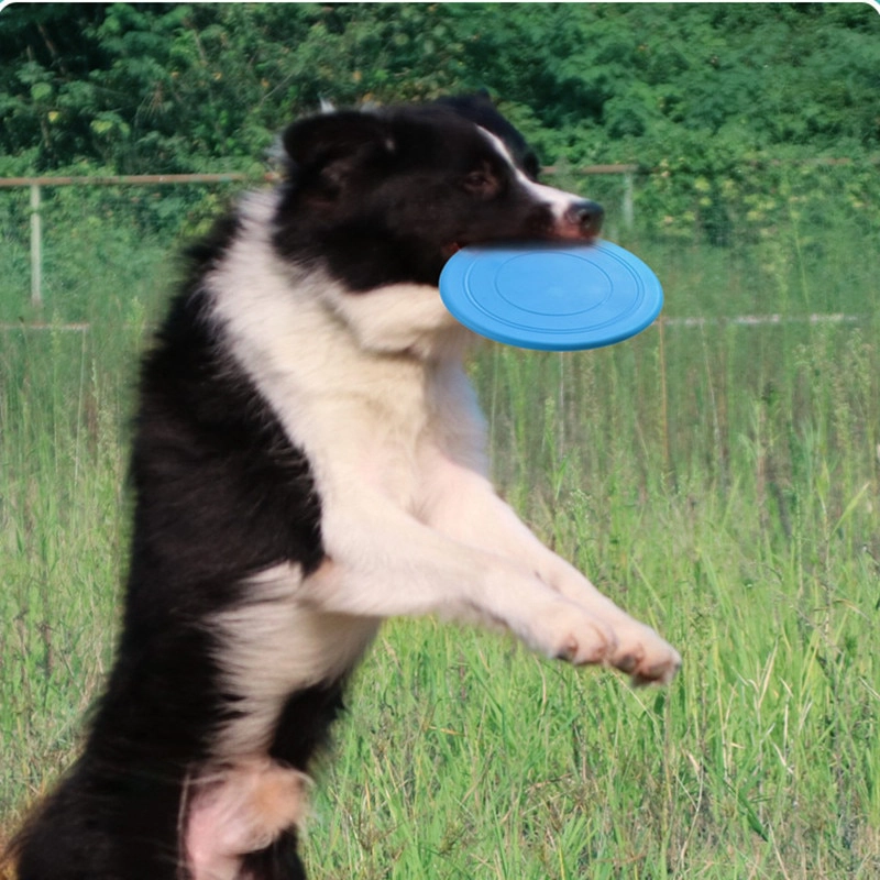 Disques volants souples pour chien - ABC chiens