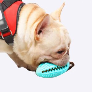 Distributeur de friandise pour chien Accessoire chien Jouets pour chien couleur: Bleu|Bleu ciel|Marron|Rose|Vert