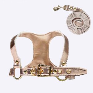 Ensemble de harnais et laisse pour chien Accessoire chien Harnais chien Couleur: Or Taille: M