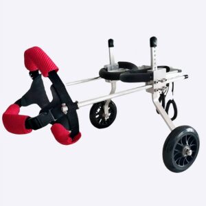 Fauteuil roulant léger pour chiens. Il y a un harnais pour accroher le chien à l'avant. Il y a deux petites roues pour permettre au chie, de se déplacer. Le chien est soutenu grâce au harnais ainsi que les bars métaliques sur le côté.