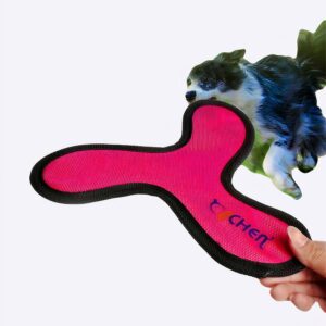 Frisbee pour chien Accessoire chien Jouets pour chien couleur: Orange|Rouge|Vert