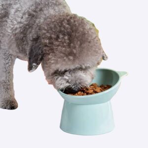 Gamelle avec un design de chat pour chien Accessoire chien Gamelle chien couleur: Bleu|Rose|Vert