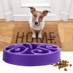 Gamelle d’alimentation lente pour chien Accessoire chien Gamelle chien couleur: Bleu|Noir|Vert|Violet