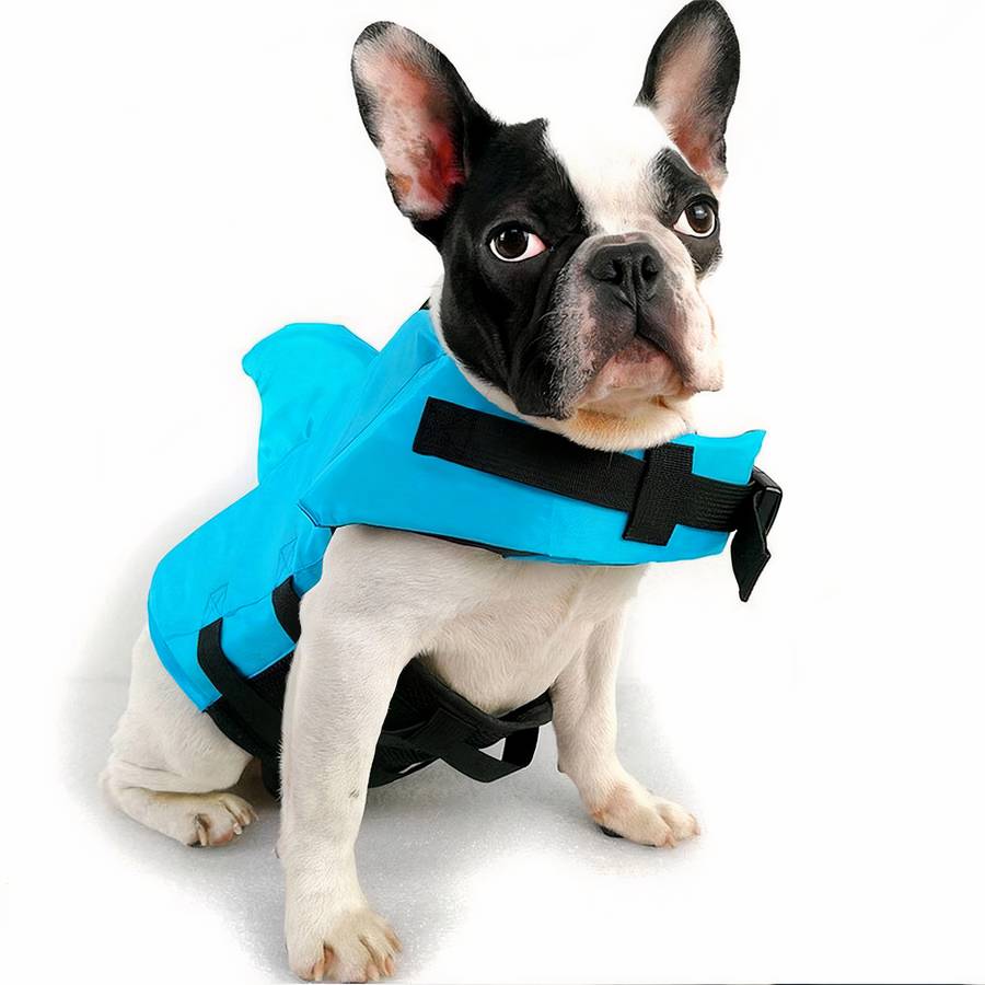 Gilet de sauvetage en forme de requin pour chien Gilet sauvetage chien Vêtement chien Taille: XS Couleur: Bleu