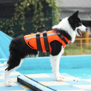 Gilet de sauvetage pour chien Gilet sauvetage chien Vêtement chien a7796c561c033735a2eb6c: Orange