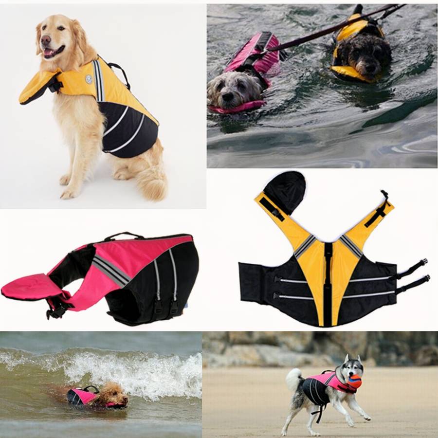 Zoom Gilet de sauvetage pour chien