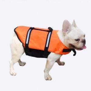 Gilet de sécurité réfléchissant pour chien Gilet sauvetage chien Vêtement chien couleur: Orange|Vert