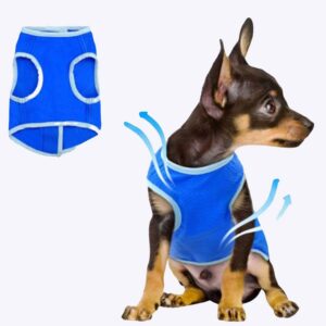 Gilet rafraîchissant pour chiens Manteau pour chien Vêtement chien taille: XS|S|M|L