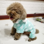 Grenouillère pour chien Vêtement chien couleur: Bleu|Gris|Rose|Vert