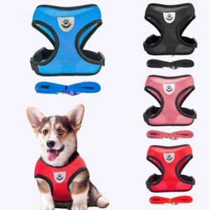 Harnais avec laisse pour chien Accessoire chien Harnais chien Laisse chien couleur: Bleu|Noir|Orange|Rose clair|Rose vif|Rouge|Vert