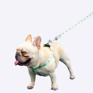Harnais de dressage et laisse pour chien Accessoire chien Harnais chien Laisse chien couleur: Vert