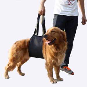 Harnais de soutien pour chien Accessoire chien Harnais chien taille: S|M|L|XL