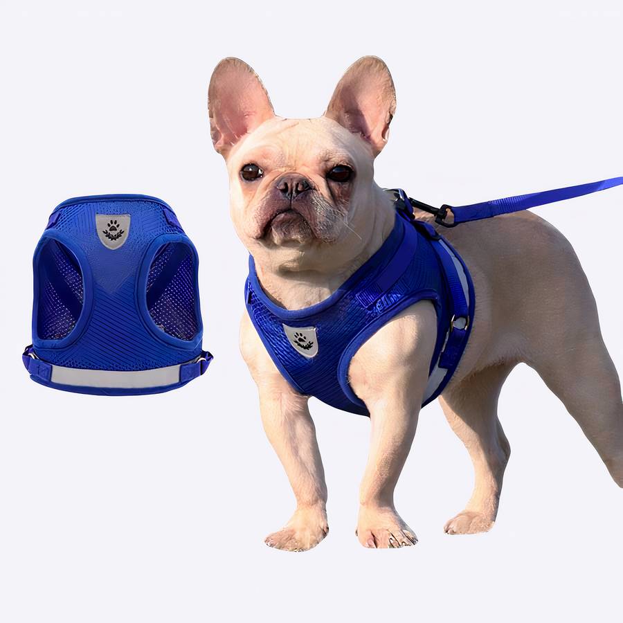 Harnais en maille avec laisse pour chien Harnais en maille avec laisse pour chien Accessoire chien Harnais chien Harnais chien anti traction couleur: Bleu|Gris|Noir|Rouge