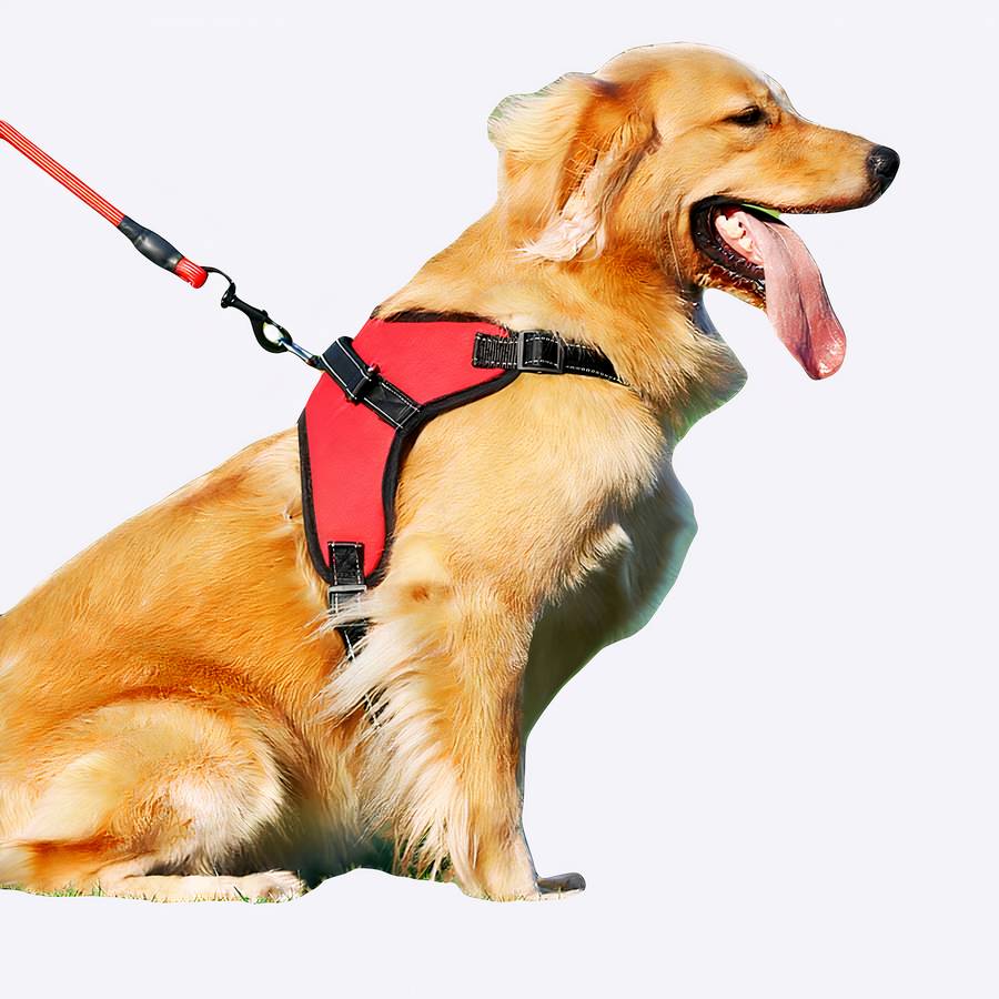 Harnais pour tous les types de chiens Harnais pour tous les types de chiens Accessoire chien Harnais chien Harnais chien anti traction couleur: Bleu|Noir|Rose|Rouge|Violet