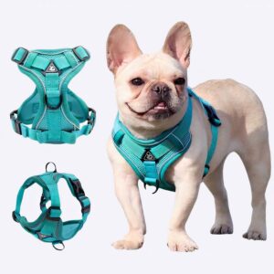 Harnais réglable avec laisse pour chien Accessoire chien Harnais chien Harnais chien anti traction Laisse chien couleur: Bleu|Gris|Marron|Rose|Rouge|Vert