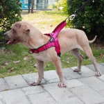 Harnais réglable pour chien Accessoire chien Harnais chien Taille: L Couleur: Rose