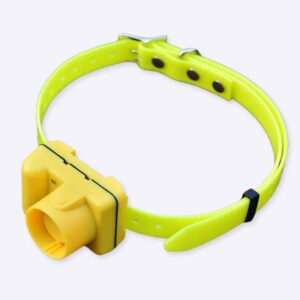 Collier de chasse pour chien Accessoire chien Collier chien Collier électrique chien couleur: Jaune|Kaki
