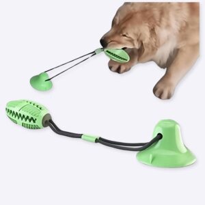Jouet à tirer à ventouse pour chiens Accessoire chien Jouets pour chien couleur: Bleu|Vert