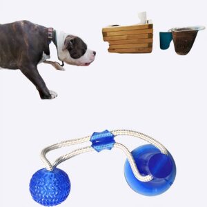 Jouet de traction fantastique à ventouse pour chien Accessoire chien Jouets pour chien couleur: Bleu|Rouge|Vert