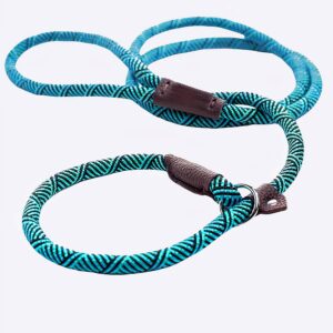 Laisse à corde antidérapante pour chien Accessoire chien Laisse chien couleur: Bleu|Gris|Jaune|Rouge