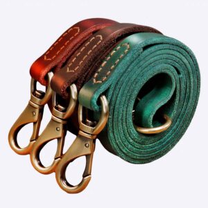Laisse de dressage pour chien Accessoire chien Laisse chien couleur: Marron|Rouge|Vert