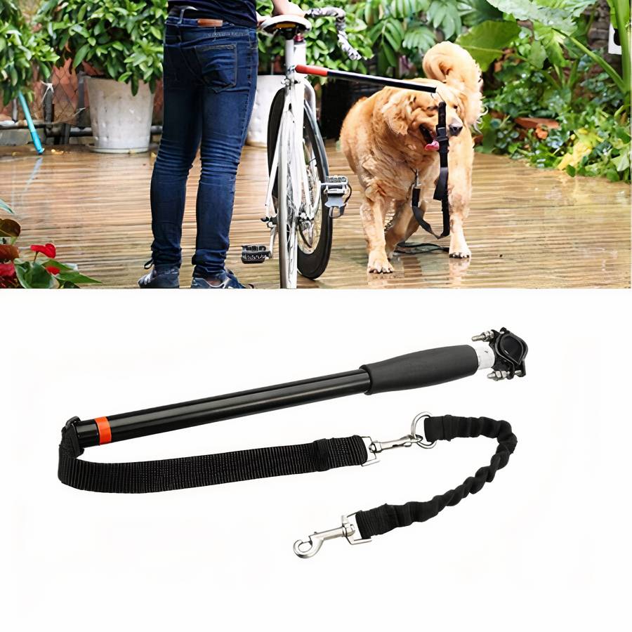 Laisse de vélo élastique pour chien Accessoire chien Laisse chien couleur: Noir