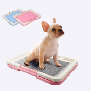 Litière pour chiens Hygiène chien Litière chien couleur: Bleu|Rose