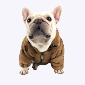 Manteau d’hiver pour chien Manteau pour chien Vêtement chien couleur: Beige|Marron|Rose
