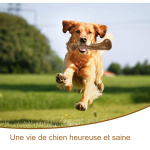 Os de chien semi Indestructible, Accessoire chien Jouets pour chien a7796c561c033735a2eb6c: Marron