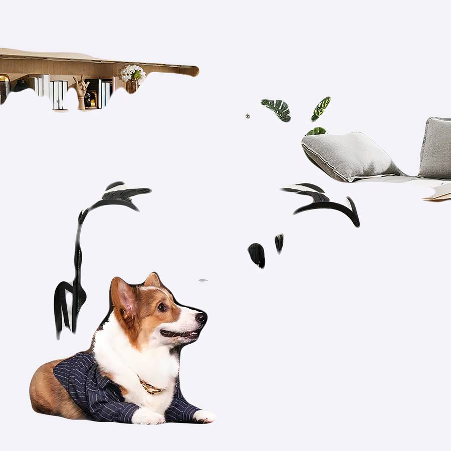 Parc pour chien marron avec une patte de chien en motif. Un chien marron est placé devant. Le parc pour chien est placé dans un salon avec un canapé, une guitare et une étagère.