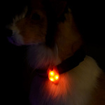 Pendentif LED en silicone pour chien Accessoire chien Collier chien couleur: Bleu|Jaune|Orange|Rose|Rouge|Vert