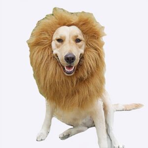 Perruque de lion pour chien Déguisement pour chien Vêtement chien couleur: Marron|Orange