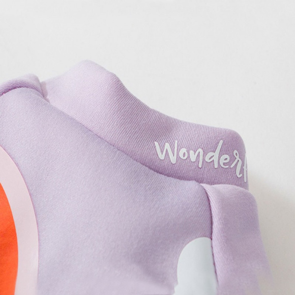 Pull imprimé arc-en-ciel pour chien Vêtement chien couleur: Violet