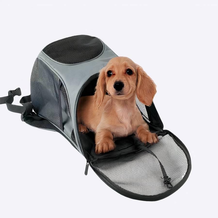 Sac à dos avec maille respirant pour chiens Sac à dos avec maille respirant pour chiens Sac à dos pour chien Transport chien couleur: Bleu|Marron|Noir|Rouge