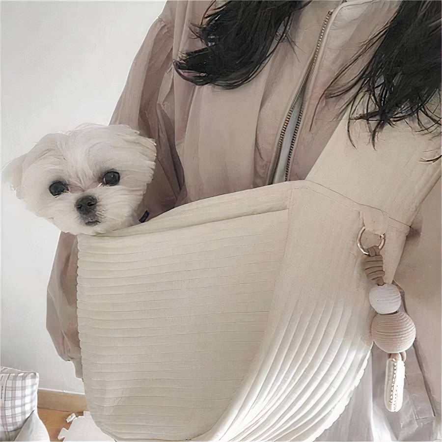 Sac de transport bandoulière pour chien Porte-chien Sac à dos pour chien Transport chien couleur: Blanc