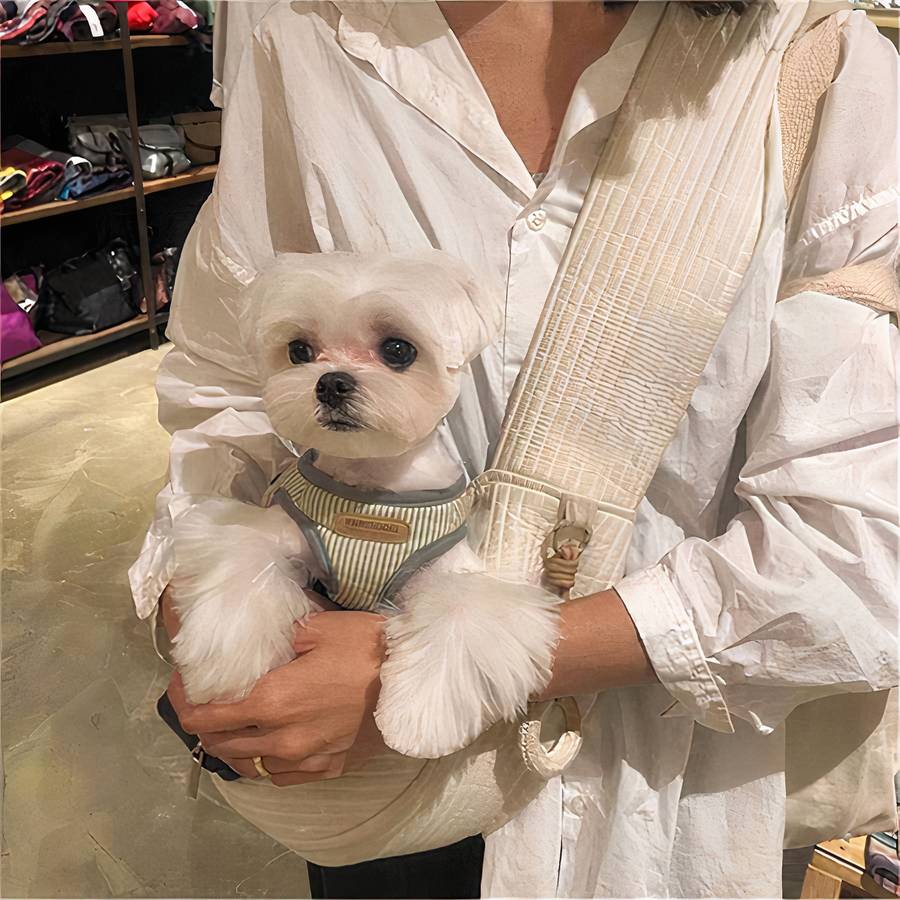 Sac de transport bandoulière pour chien Porte-chien Sac à dos pour chien Transport chien couleur: Blanc